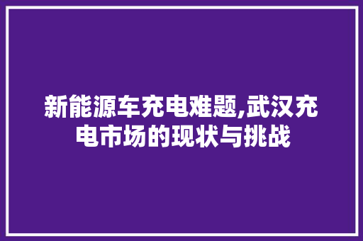 新能源车充电难题,武汉充电市场的现状与挑战