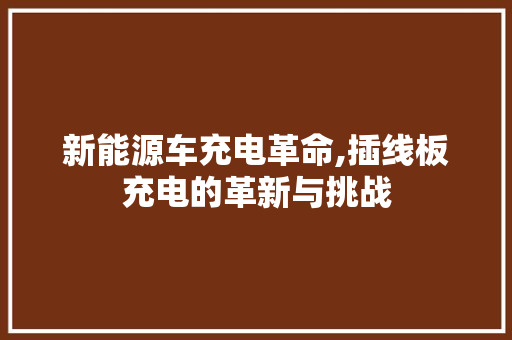 新能源车充电革命,插线板充电的革新与挑战