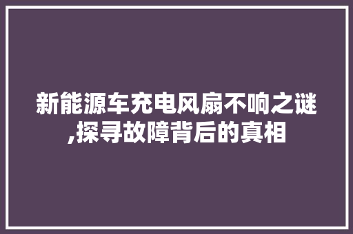 新能源车充电风扇不响之谜,探寻故障背后的真相