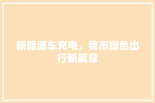 新能源车充电，我市绿色出行新篇章