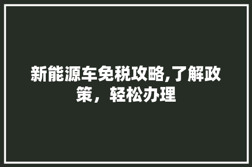 新能源车免税攻略,了解政策，轻松办理