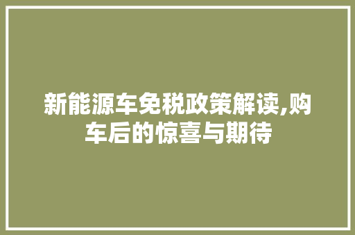 新能源车免税政策解读,购车后的惊喜与期待