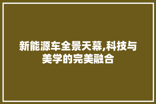 新能源车全景天幕,科技与美学的完美融合