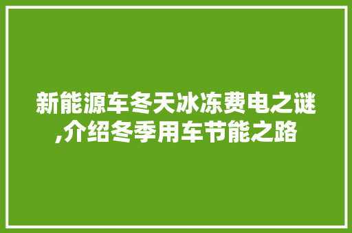 新能源车冬天冰冻费电之谜,介绍冬季用车节能之路