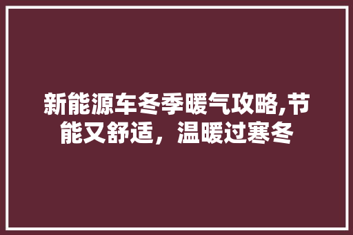 新能源车冬季暖气攻略,节能又舒适，温暖过寒冬