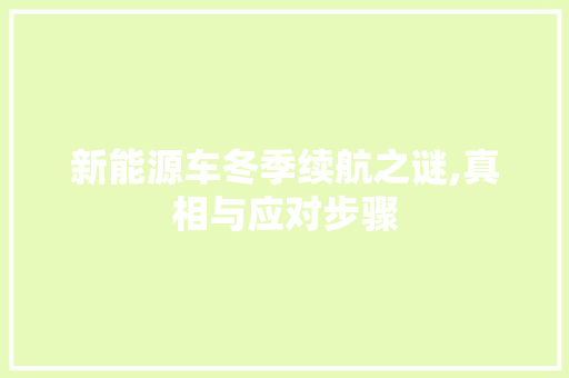 新能源车冬季续航之谜,真相与应对步骤