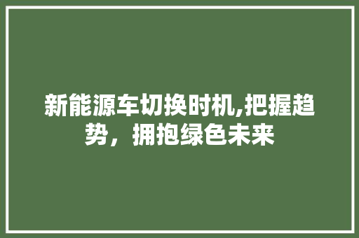新能源车切换时机,把握趋势，拥抱绿色未来