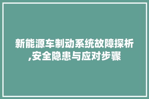新能源车制动系统故障探析,安全隐患与应对步骤