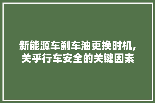 新能源车刹车油更换时机,关乎行车安全的关键因素
