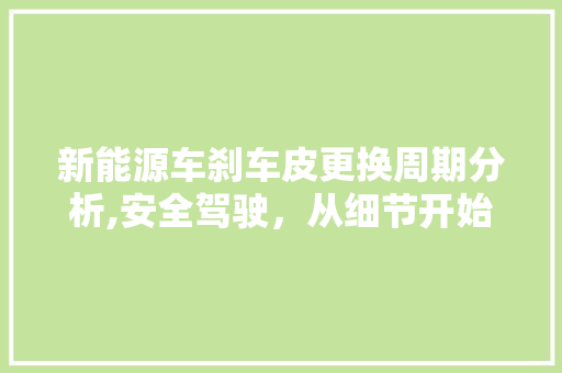 新能源车刹车皮更换周期分析,安全驾驶，从细节开始