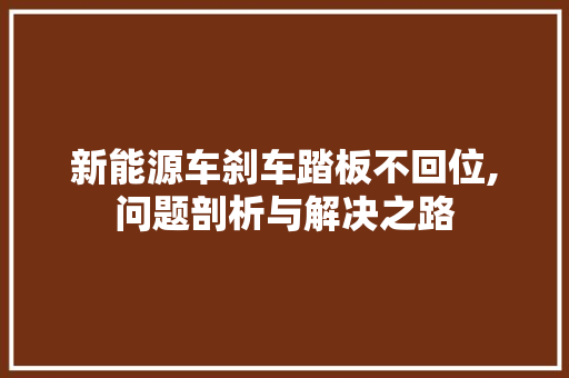 新能源车刹车踏板不回位,问题剖析与解决之路