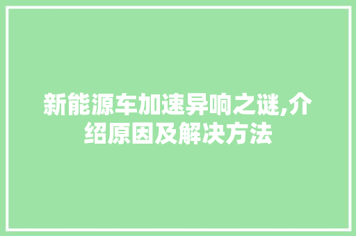 新能源车加速异响之谜,介绍原因及解决方法