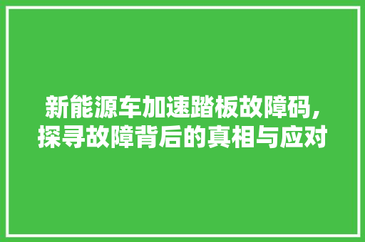 新能源车加速踏板故障码,探寻故障背后的真相与应对步骤