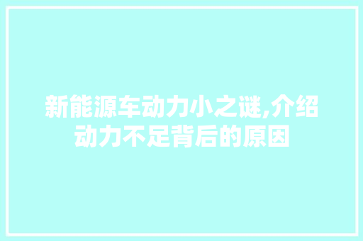 新能源车动力小之谜,介绍动力不足背后的原因