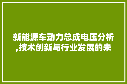 新能源车动力总成电压分析,技术创新与行业发展的未来趋势