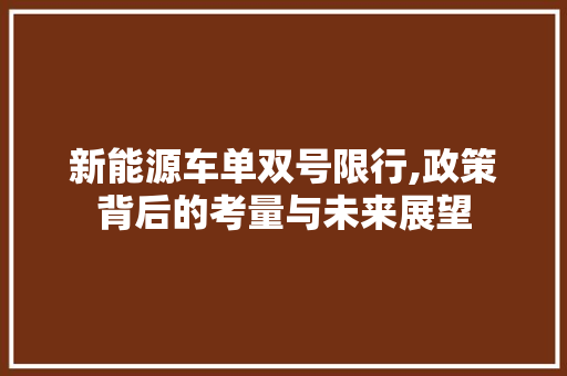 新能源车单双号限行,政策背后的考量与未来展望