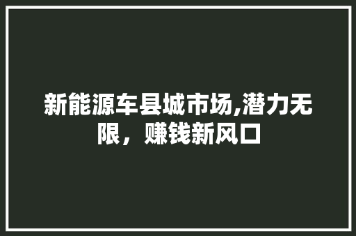 新能源车县城市场,潜力无限，赚钱新风口