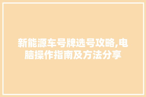 新能源车号牌选号攻略,电脑操作指南及方法分享