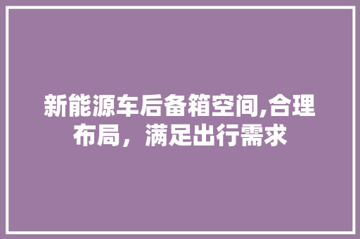 新能源车后备箱空间,合理布局，满足出行需求