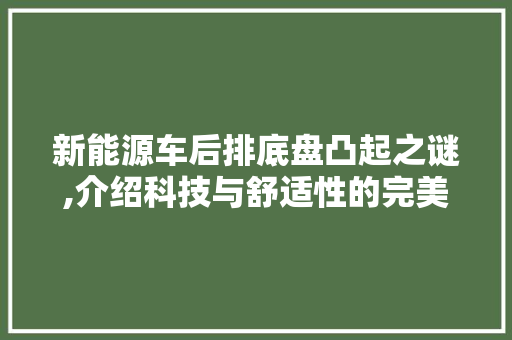 新能源车后排底盘凸起之谜,介绍科技与舒适性的完美融合