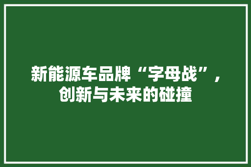 新能源车品牌“字母战”,创新与未来的碰撞