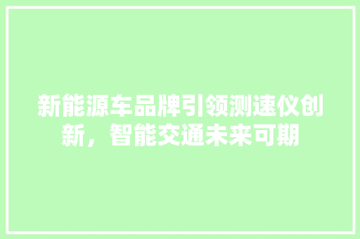 新能源车品牌引领测速仪创新，智能交通未来可期