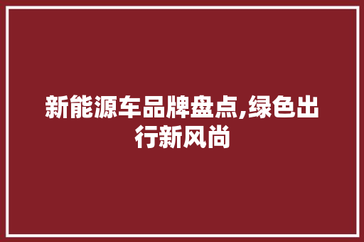 新能源车品牌盘点,绿色出行新风尚 车身配件