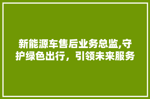 新能源车售后业务总监,守护绿色出行，引领未来服务新潮流