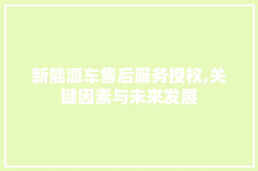 新能源车售后服务授权,关键因素与未来发展