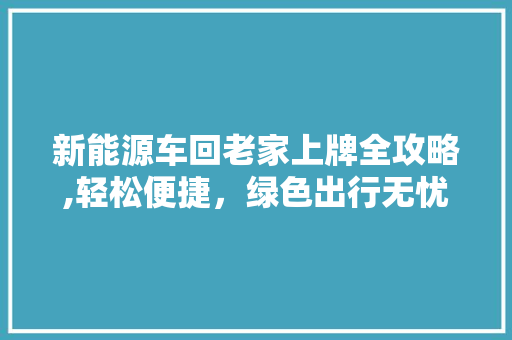 新能源车回老家上牌全攻略,轻松便捷，绿色出行无忧 新款车型