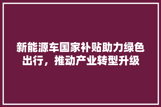 新能源车国家补贴助力绿色出行，推动产业转型升级
