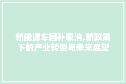 新能源车国补取消,新政策下的产业转型与未来展望