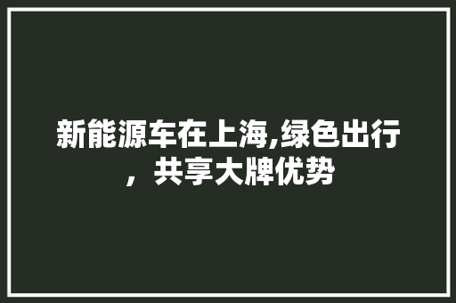 新能源车在上海,绿色出行，共享大牌优势