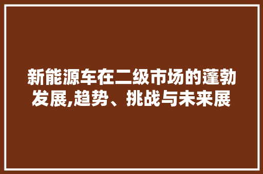 新能源车在二级市场的蓬勃发展,趋势、挑战与未来展望