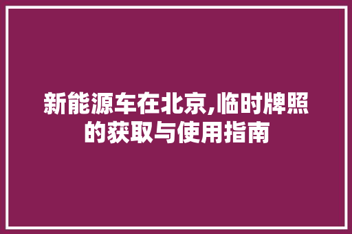 新能源车在北京,临时牌照的获取与使用指南
