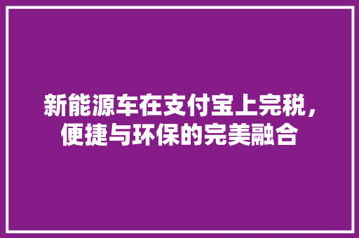 新能源车在支付宝上完税，便捷与环保的完美融合