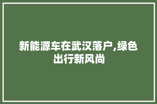 新能源车在武汉落户,绿色出行新风尚