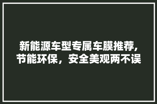 新能源车型专属车膜推荐,节能环保，安全美观两不误