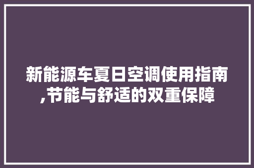 新能源车夏日空调使用指南,节能与舒适的双重保障