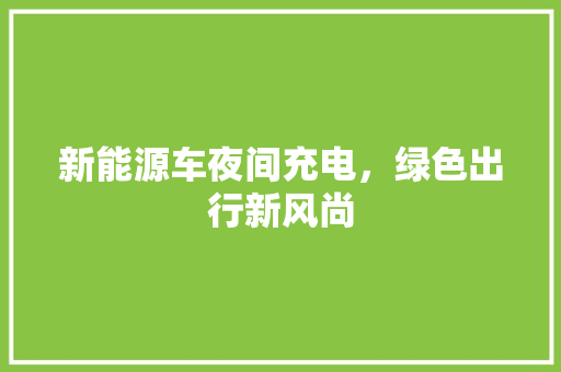 新能源车夜间充电，绿色出行新风尚
