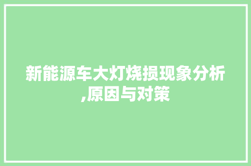 新能源车大灯烧损现象分析,原因与对策