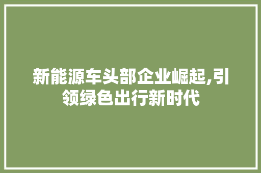 新能源车头部企业崛起,引领绿色出行新时代