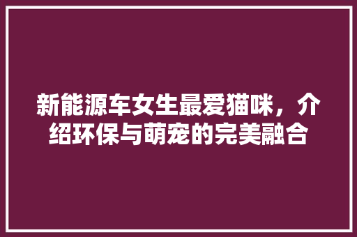 新能源车女生最爱猫咪，介绍环保与萌宠的完美融合