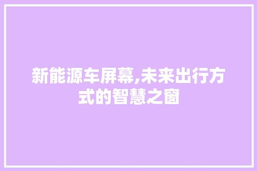 新能源车屏幕,未来出行方式的智慧之窗