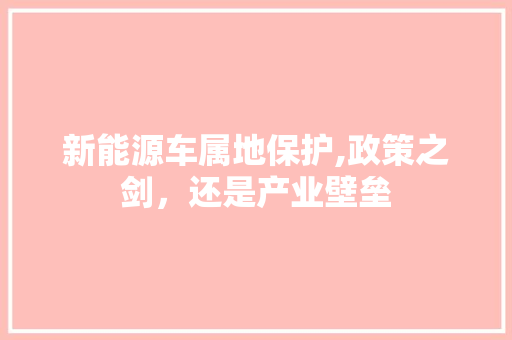 新能源车属地保护,政策之剑，还是产业壁垒