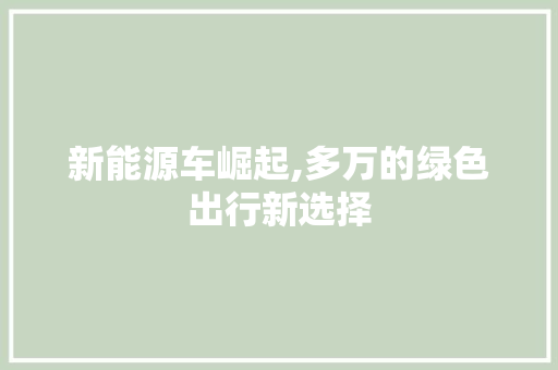 新能源车崛起,多万的绿色出行新选择