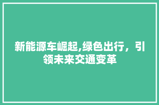 新能源车崛起,绿色出行，引领未来交通变革 发动机配件