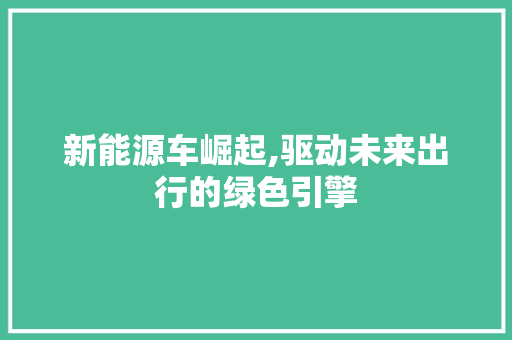 新能源车崛起,驱动未来出行的绿色引擎