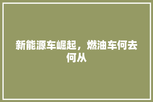 新能源车崛起，燃油车何去何从