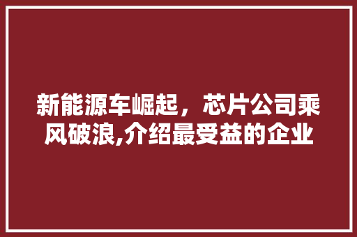 新能源车崛起，芯片公司乘风破浪,介绍最受益的企业